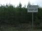 Trees growing in a previously harvested area.