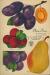 E. D. Smith Plums