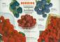 Berries: Outstanding Varieties of Raspberries and Blackberries