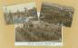 Three Grouped Photographs of Helderleigh Nursery Shipping and Packing Operation