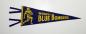 Winnipeg Blue Bombers banner.