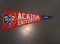 Acadia University Banner.