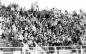 Fans celebrating Mount Allison's victory in the Atlantic Bowl.