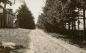 Typical muddy spring road c1917