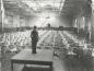 Male physical education class performing exercises at the University of Pennsylvania.