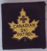 This is an early CSPS badge. It has the original design of the Maple leaf and cross.