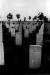 Cemetery in Gilderland, Holland - Canadian World War II Casualties