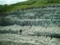 School Children exploring Clay Pit 4