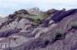 Vegetation starting to reclaim the open Pit mining Clay deposits