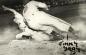 Jimmy Gray of Halifax Capitals attempts makes a play against a sliding Middleton Cardinals player.