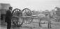 Pony and two wheel cart used to transport cable over bog land between Bay Roberts and Colinet.