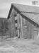 A young boy standing in the entrance of Frederick Brent's grist mill