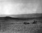 Old wagon road looking towards Mission Valley