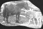 Prize winning horses on the farm of Patricia and Stanley Moore