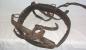 Parts of the leather harness used to hitch a work horse to a plow or other farming implement.