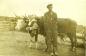 Daniel Kenney Sr. with his team of oxen preparing to harvest rockweed.