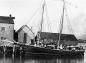 The 'Freeman Colgate' fishing schooner, owned by Captain Stewart Hicks c. 1915
