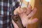 Robert MacDormand shows the manner in which a sailor's palm was worn