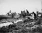 Herring fishing using dories c. 1900