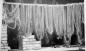 Fish nets hung to dry