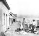 Norman Robbins and Wesley Leeman piling salt fish at Hanford Outhouse's wharf.