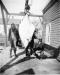 William Buckman on left, shows a large halibut landed at D. B. Kenney Ltd.