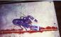 Sometimes lobsters are different colors than red. Here is a blue lobster as it came from the trap. 