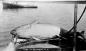 A tuna caught at Westport in the 1940s 