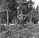 Clarence (Jamie) Howard in the midst of a day's  wood cutting in the South Way, near Tiverton