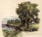 O'Brien, Lucius Richard, Print of water-colour etching entitled, "Catawba Vineyard-Pelee Island"