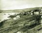 Carbonear Harbour and Town, circa 1920.
