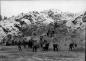 New Canadians at work on the Des Joachims Dam site