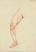 Another anatomical sketch of the male leg drawn by Laing.