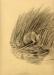 Charcoal drawing of a muskrat, drawn by Laing at the Pratt Institute.