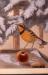 Pastel drawing of a varied thrush, made by Laing while at the Pratt Institute.