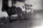 Kitchener School children