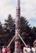 Totem pole raising at Yan village.