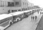 Chartered Gray Coach buses.