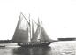 Alex Jennex's schooner 'Wilfred Snow'