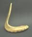 Ram's Horn Shofar Early 20th century