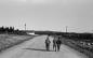 Three friends walk down the road looking for something to do.