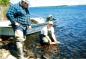 Student Researcher Releasing Brook Trout