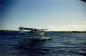 Plane Landing in Indian Bay Waters