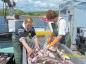 Plant Workers grading the daily catch.