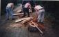 CEDAR SPLITTING