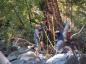 Volunteers cleaning Trepanier Creek