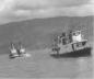 CNR M.V. Pentowna being rescued from grounding by two CPR tugboats