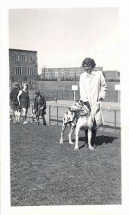 Historic photo from 1944 - Lawrence Park Collegiate as seen in the distance from the Havergal College tennis courts in Lawrence Park