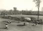 Students and staff relaxing in the playing field