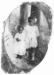 Marjorie Dawson - Marjorie and older sister Dorothy; Marjorie about 3 years old